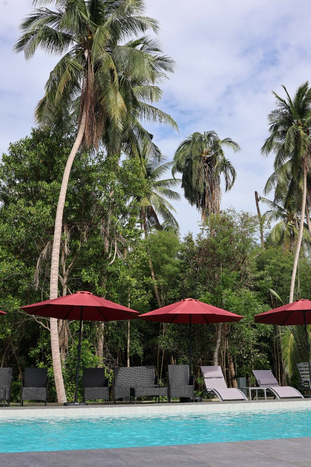 Tall coconut palms above the pool