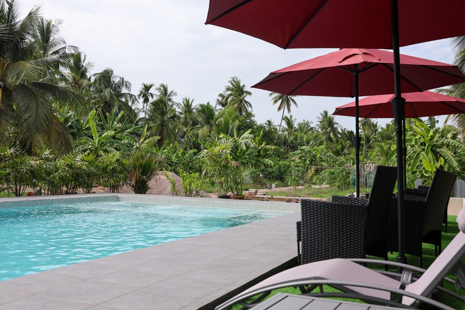View across the pool to banana and coconut groves